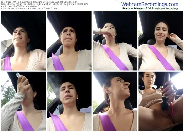 stripchat-pleasure_of_life-06-04-2025-11-57-55