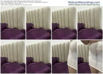 stripchat-naucha-arab-06-04-2025-22-38-43