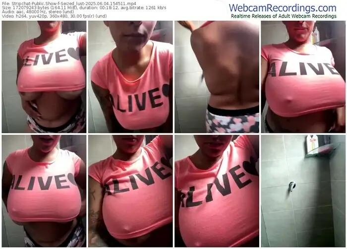 stripchat-seized_lust-06-04-2025-15-45-11