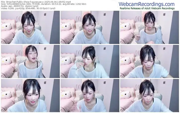 stripchat-suyaoyao-x-06-04-2025-13-50-52