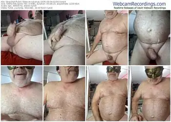 stripchat-ratomau-06-04-2025-02-33-14