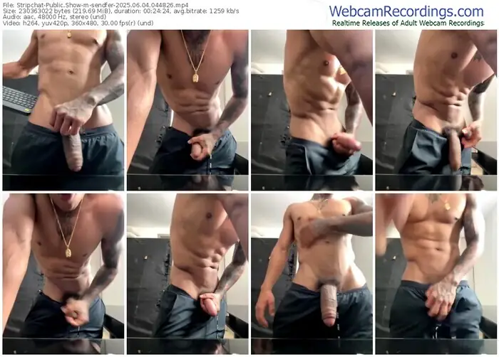 stripchat-sendfer-06-04-2025-04-48-26