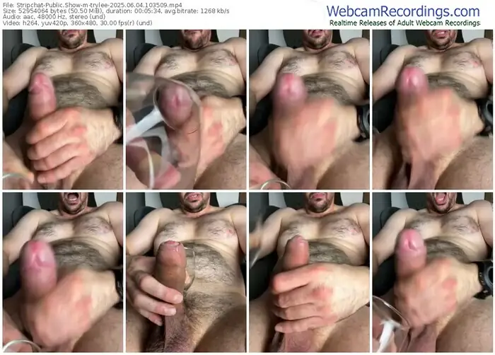 stripchat-trylee-06-04-2025-10-35-09