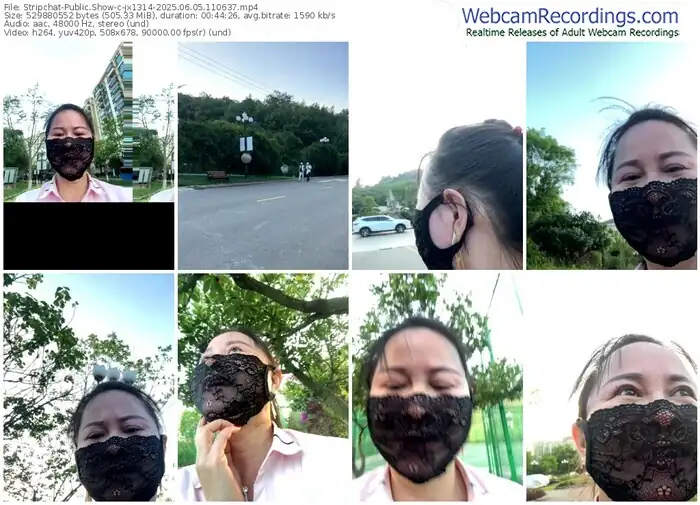 stripchat-jx1314-06-05-2025-11-06-37