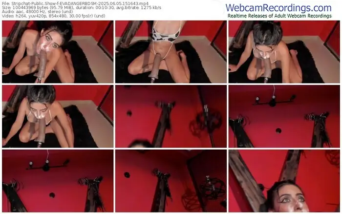 stripchat-evadangerbdsm-06-05-2025-15-16-43