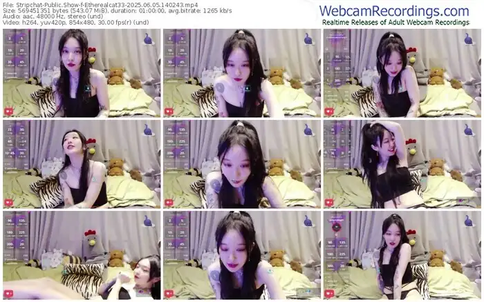 stripchat-etherealcat33-06-05-2025-14-02-43