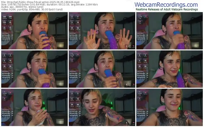 stripchat-evacanton-06-05-2025-18-04-29
