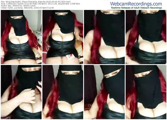 stripchat-farawla_elgmda-06-06-2025-01-23-04