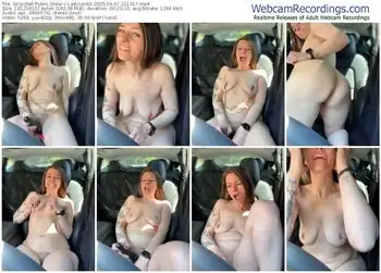 stripchat-ladylena1-06-07-2025-21-13-17