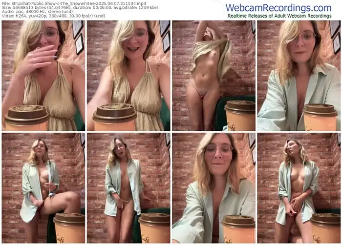stripchat-the_snowwhitee-06-07-2025-21-15-34