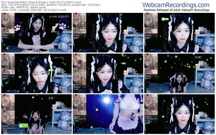 stripchat-sheep-1-06-07-2025-02-59-27