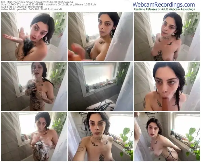 stripchat-pnkgf-06-08-2025-20-25-34