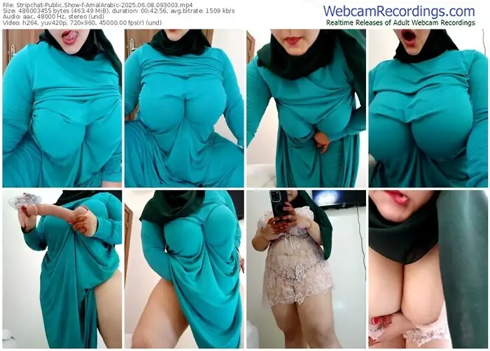 stripchat-amalarabic-06-08-2025-09-30-03