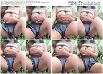 stripchat-hana-zk3-06-08-2025-01-02-41