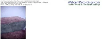 stripchat-loulou-p-06-08-2025-14-22-00