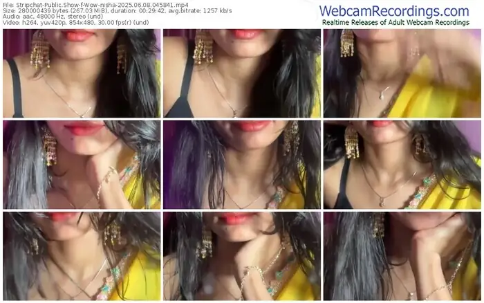 stripchat-wow-nisha-06-08-2025-04-58-41