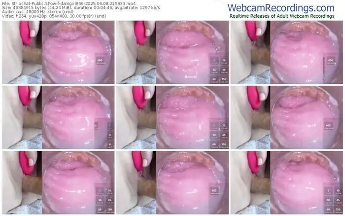 stripchat-danigirl866-06-08-2025-21-59-33