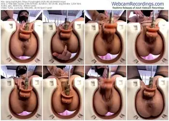 stripchat-tingting66-06-08-2025-04-46-03