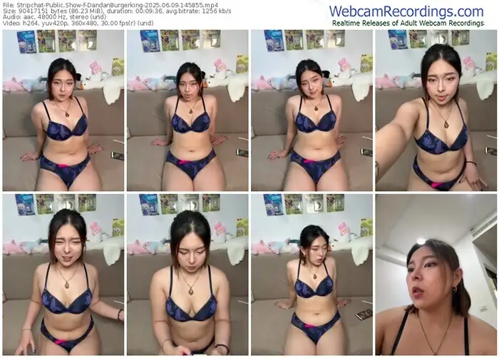 stripchat-dandanburgerking-06-09-2025-14-58-55