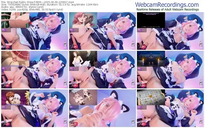 stripchat-rem---06-09-2025-22-39-57