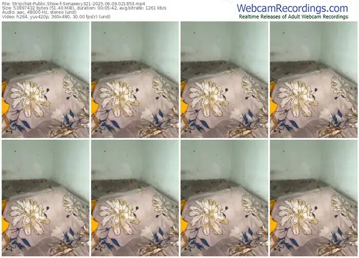 stripchat-sonasexy321-06-09-2025-02-18-53