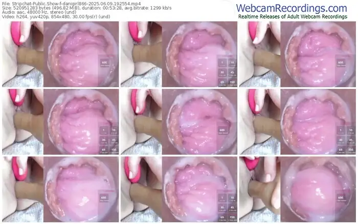 stripchat-danigirl866-06-09-2025-19-25-54