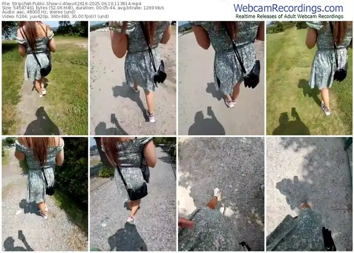 stripchat-alexvit2616-06-10-2025-11-38-14