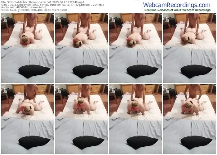stripchat-palomo41-06-10-2025-22-28-48