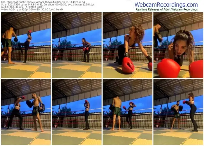 stripchat-amani_thewolf-06-11-2025-11-48-31