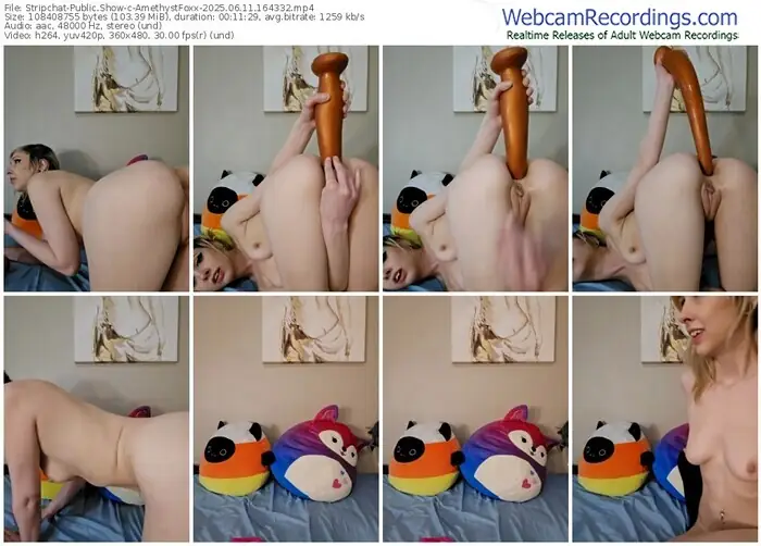 stripchat-amethystfoxx-06-11-2025-16-43-32