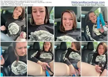 stripchat-ladylena1-06-11-2025-22-34-36