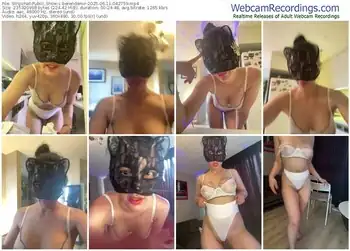 stripchat-berendemir-06-11-2025-04-27-59