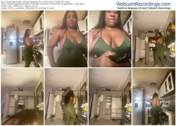 stripchat-bigassxxx1-06-11-2025-18-16-07
