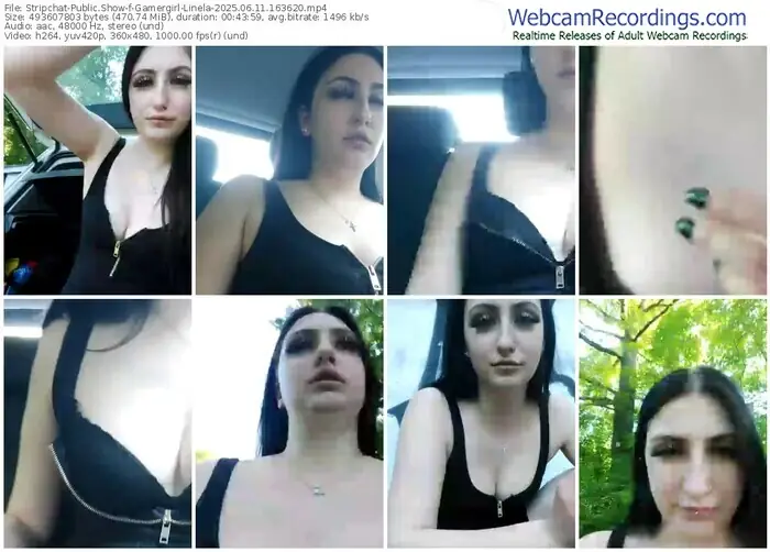 stripchat-gamergirl-linela-06-11-2025-16-36-20