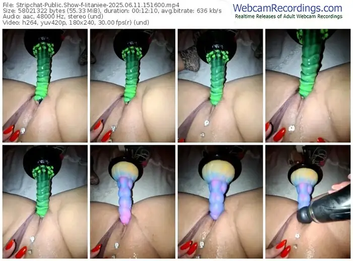 stripchat-iitaniee-06-11-2025-15-16-00