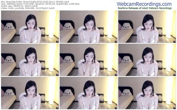 stripchat-kathy8763-06-11-2025-06-06-05
