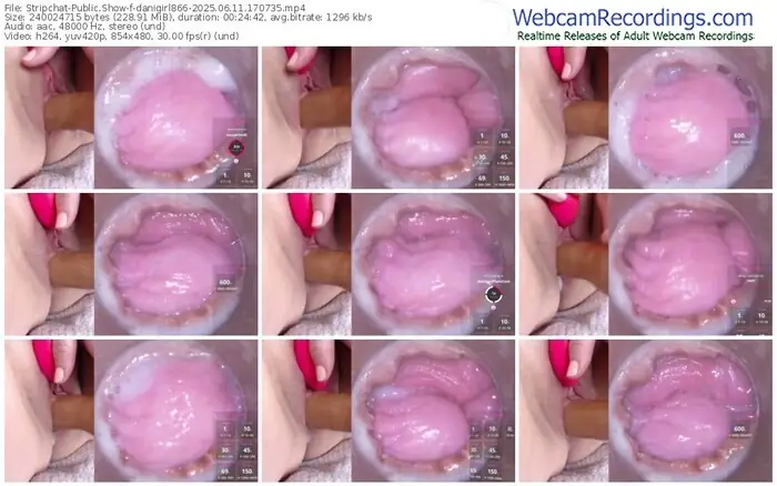 stripchat-danigirl866-06-11-2025-17-07-35