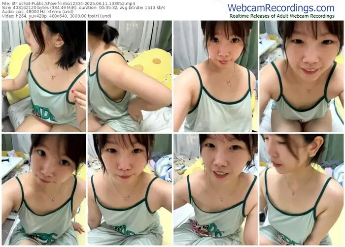 stripchat-linko12334-06-11-2025-13-39-52