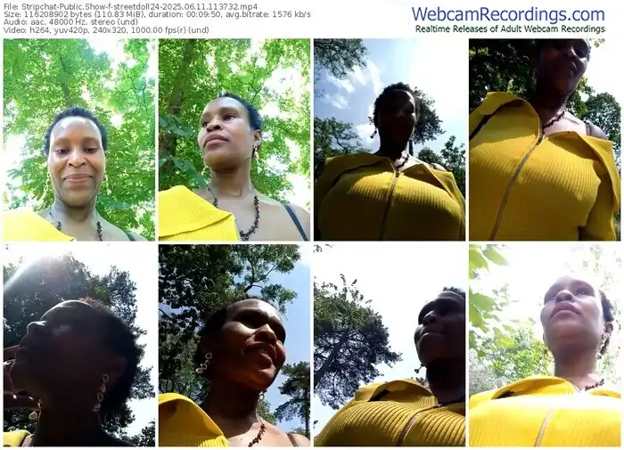 stripchat-streetdoll24-06-11-2025-11-37-32