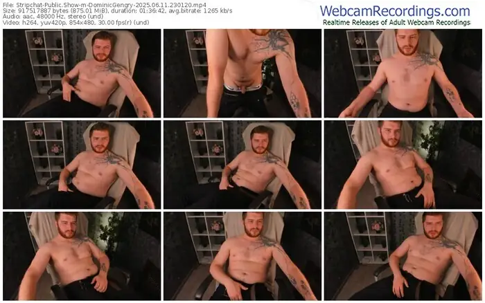 stripchat-dominicgengry-06-11-2025-23-01-20