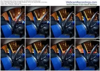 stripchat-mosmar_20-06-11-2025-01-26-42