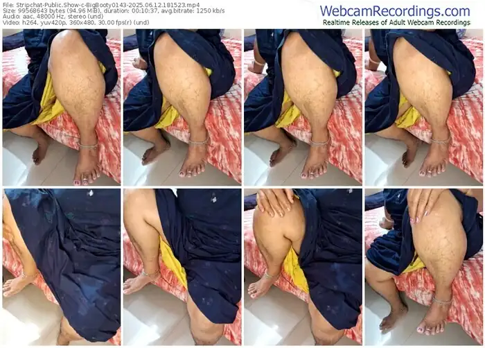 stripchat-bigbooty0143-06-12-2025-18-15-23