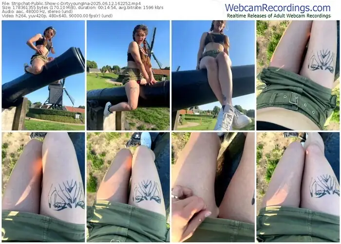 stripchat-dirtyyoungina-06-12-2025-16-22-52