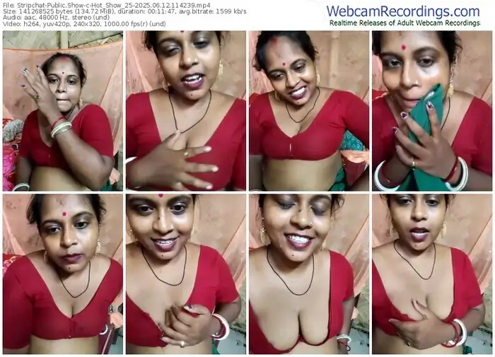 stripchat-hot_show_25-06-12-2025-11-42-39