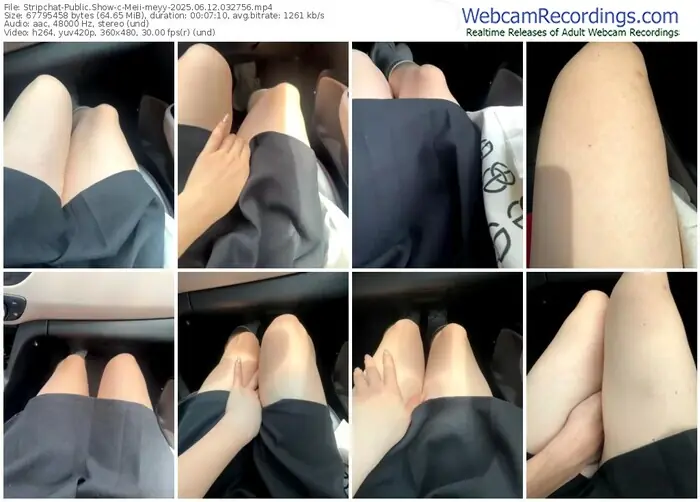 stripchat-meii-meyy-06-12-2025-03-27-56