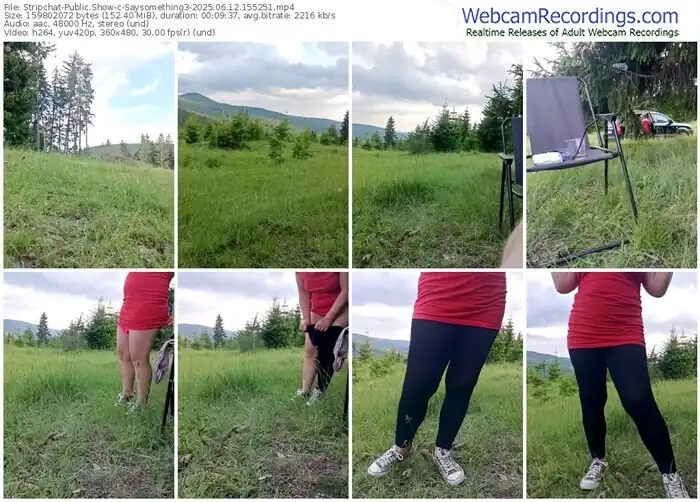 stripchat-saysomething3-06-12-2025-15-52-51
