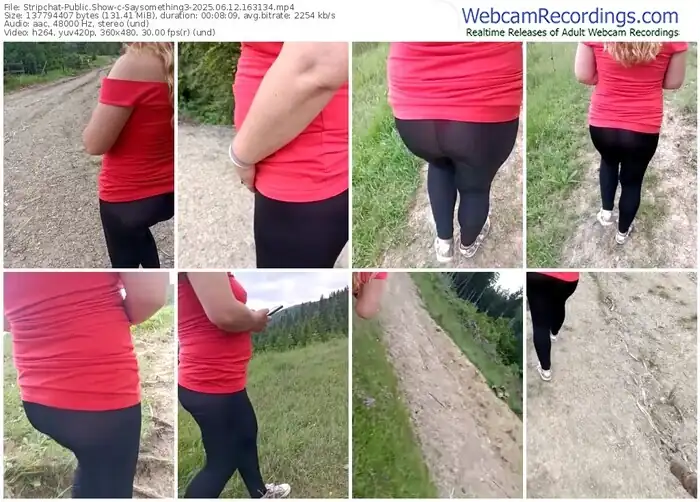 stripchat-saysomething3-06-12-2025-16-31-34