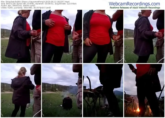 stripchat-saysomething3-06-12-2025-18-22-57