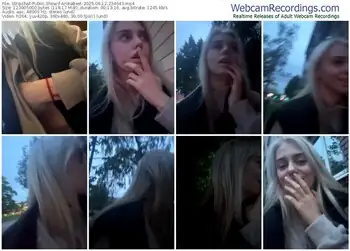 stripchat-anikabest-06-12-2025-23-46-43