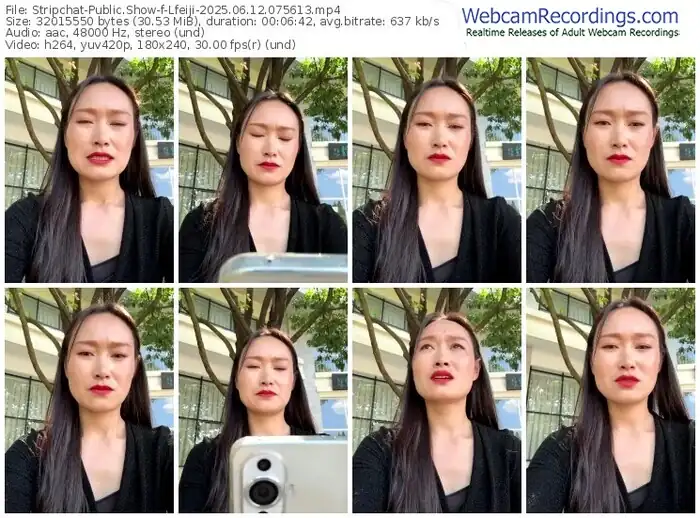 stripchat-lfeiji-06-12-2025-07-56-13